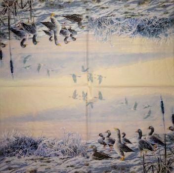 074 Enten - 3-lagig - Ambiente